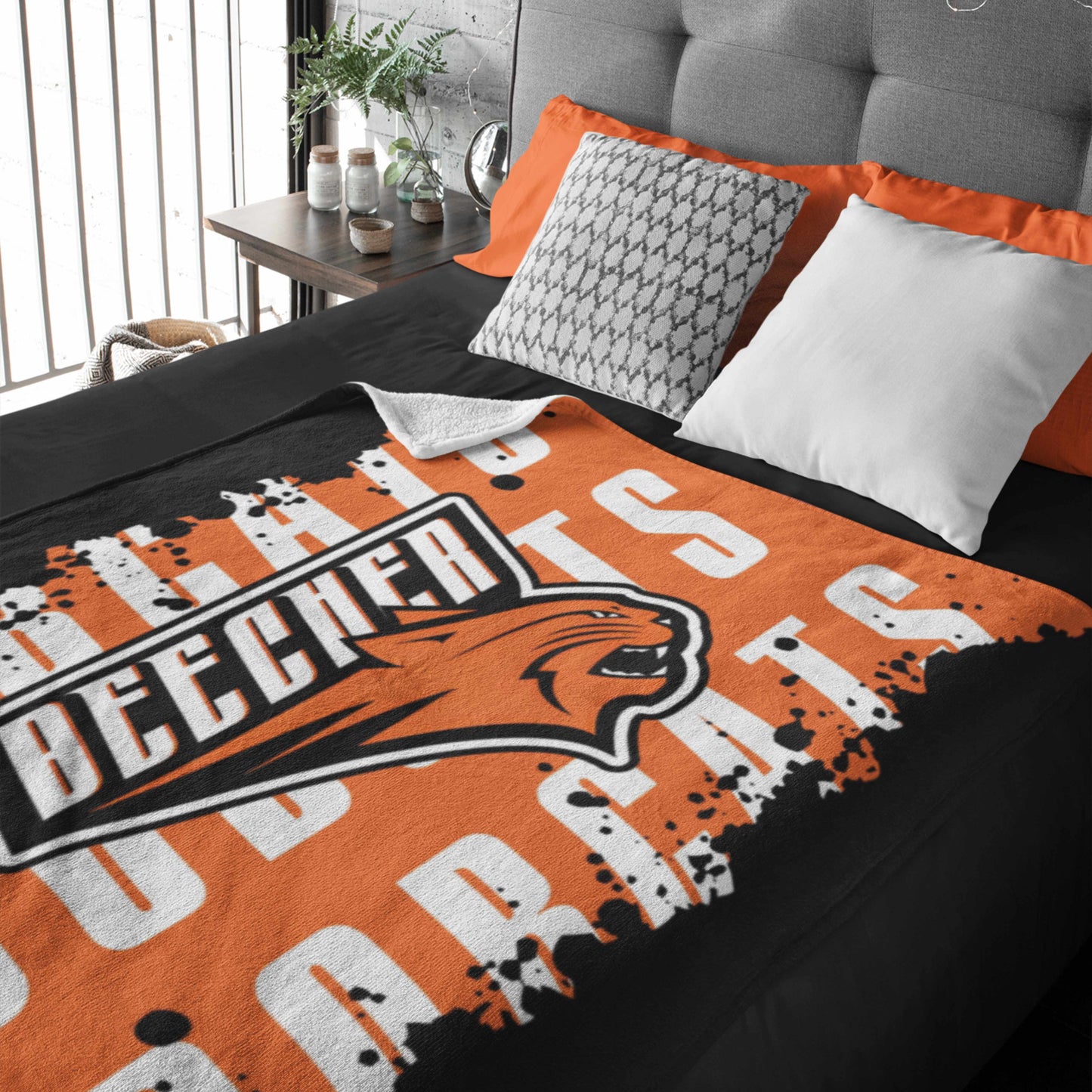 Beecher High School Softball