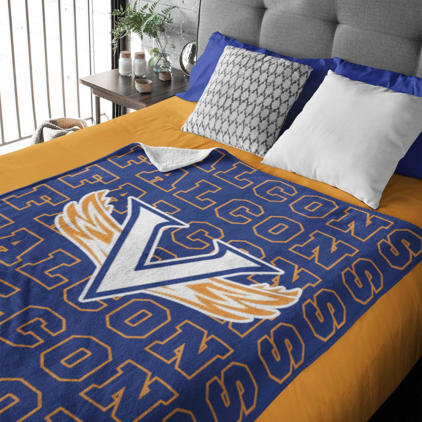 Falcons Blanket