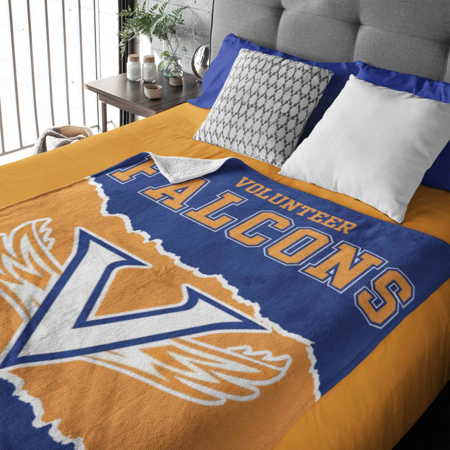 Falcons Blanket