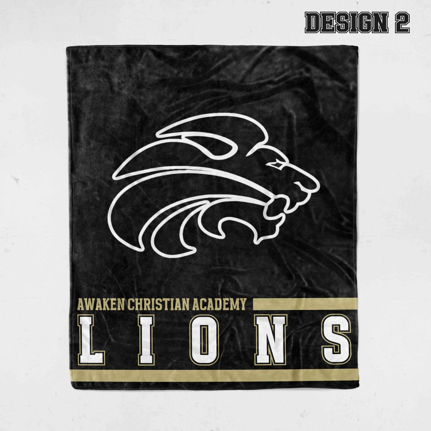 Awaken Christian Academy Fundraiser