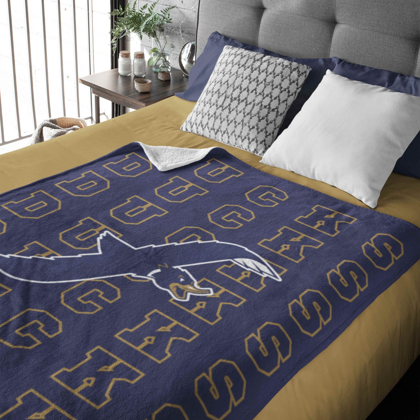 Fontbonne Volleyball & Basketball