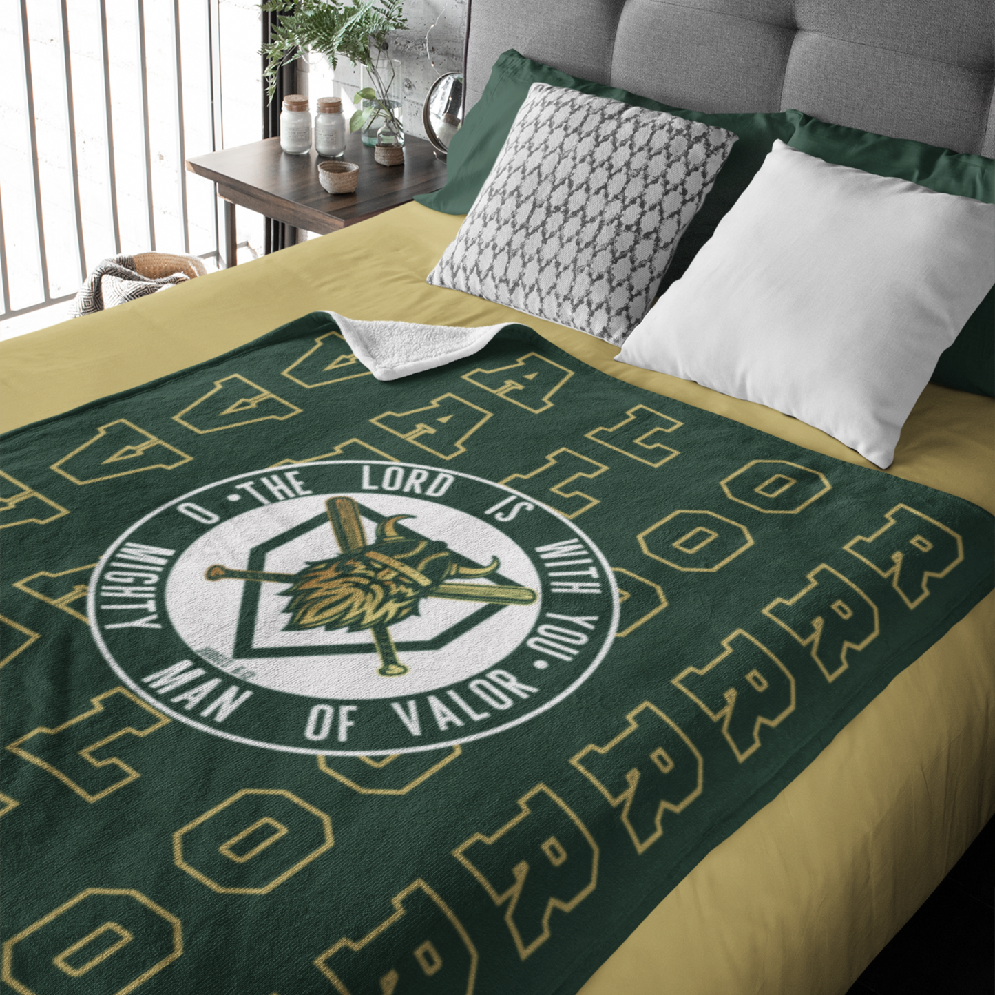 Valor Baseball Development