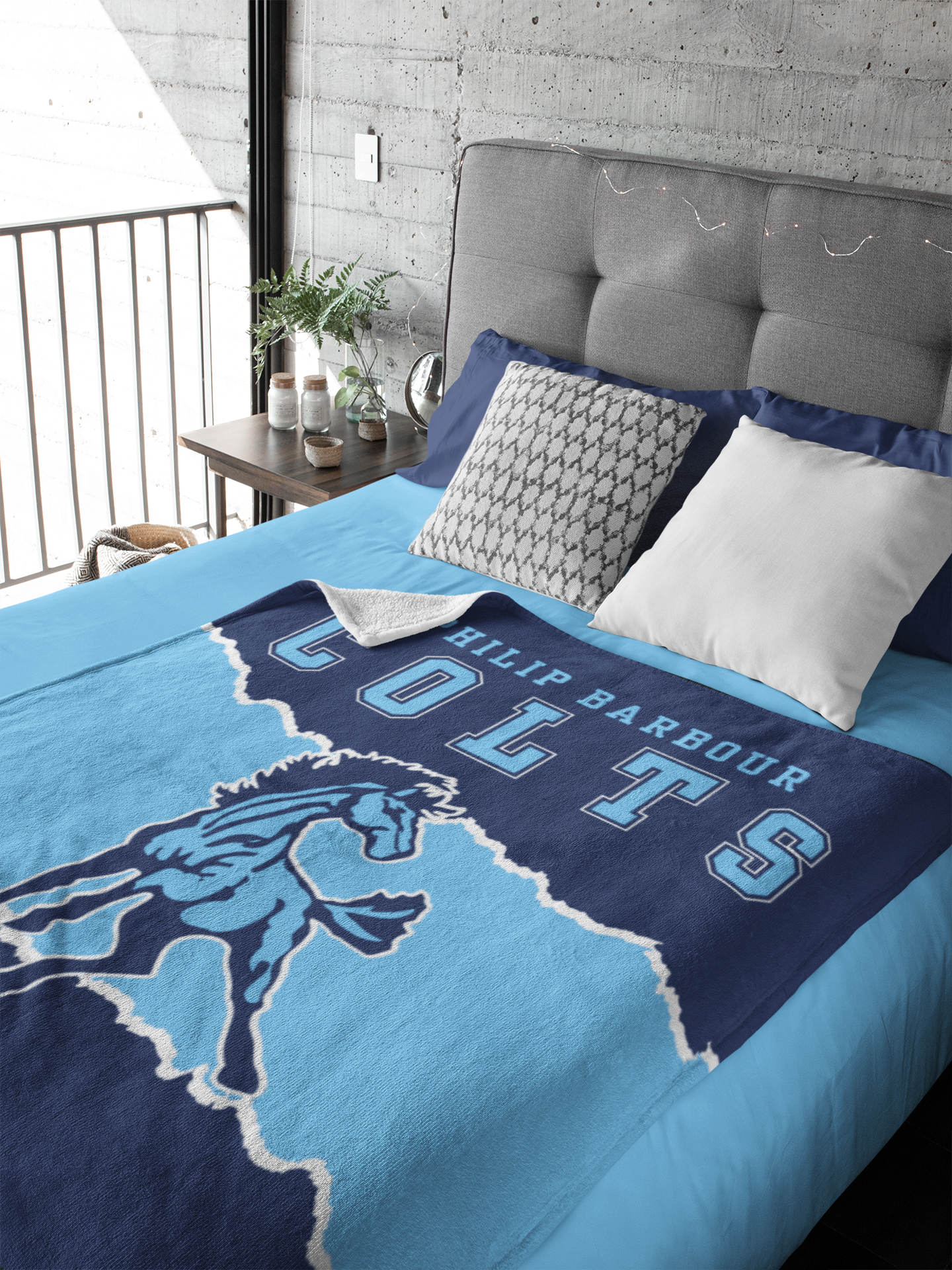 Philip Barbour Softball