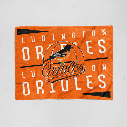 Ludington Robotics Oriole Throws